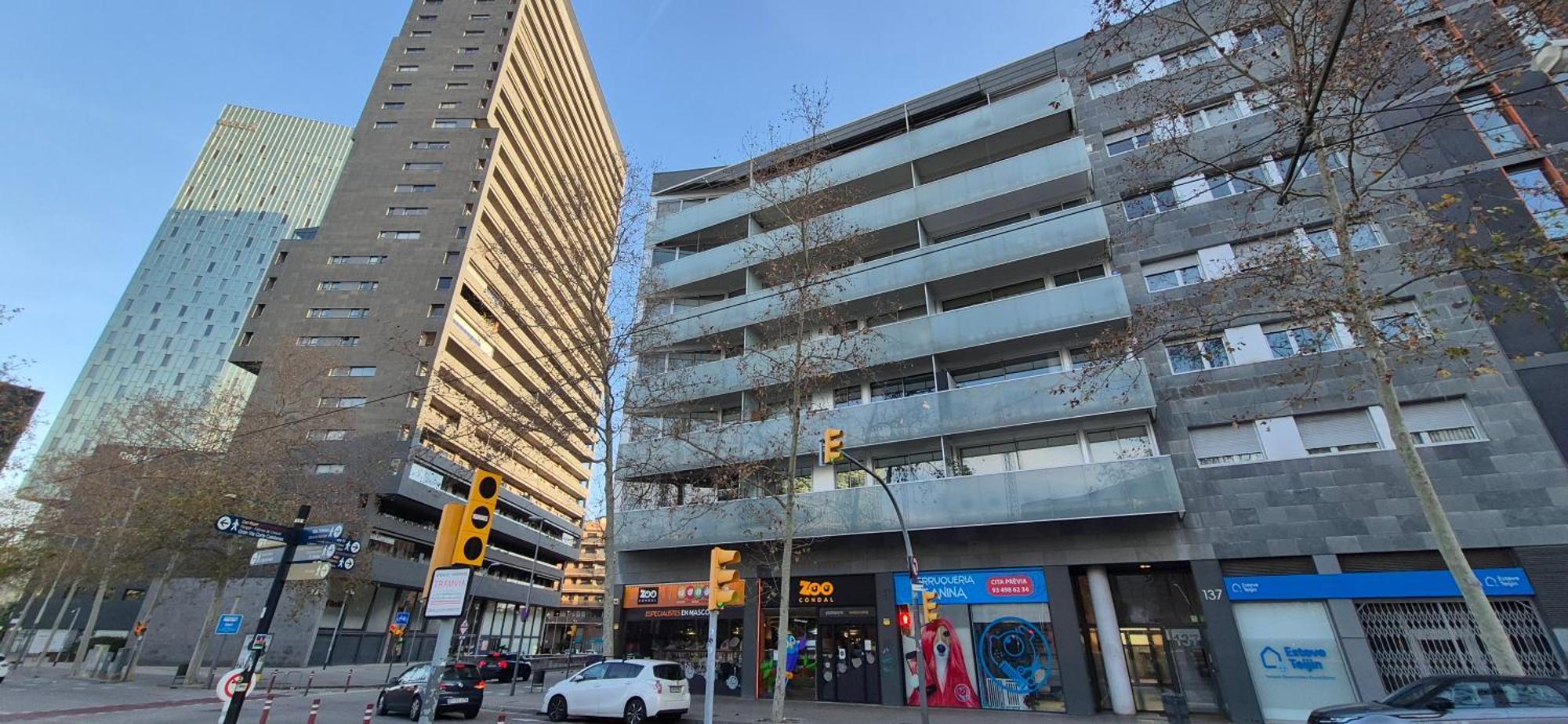 Apartamento En Avenida Diagonal - Torre Glorias - Angeles Terraza バルセロナ エクステリア 写真
